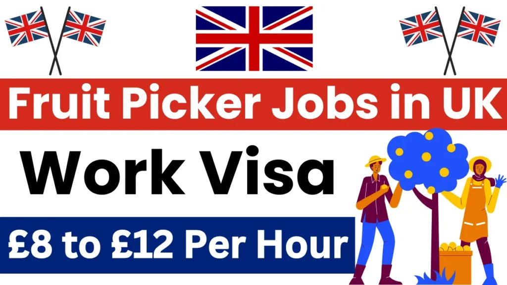 Fruit Picker Jobs in UK with Work Visa September 2024 (£8 to £12 Per Hour)