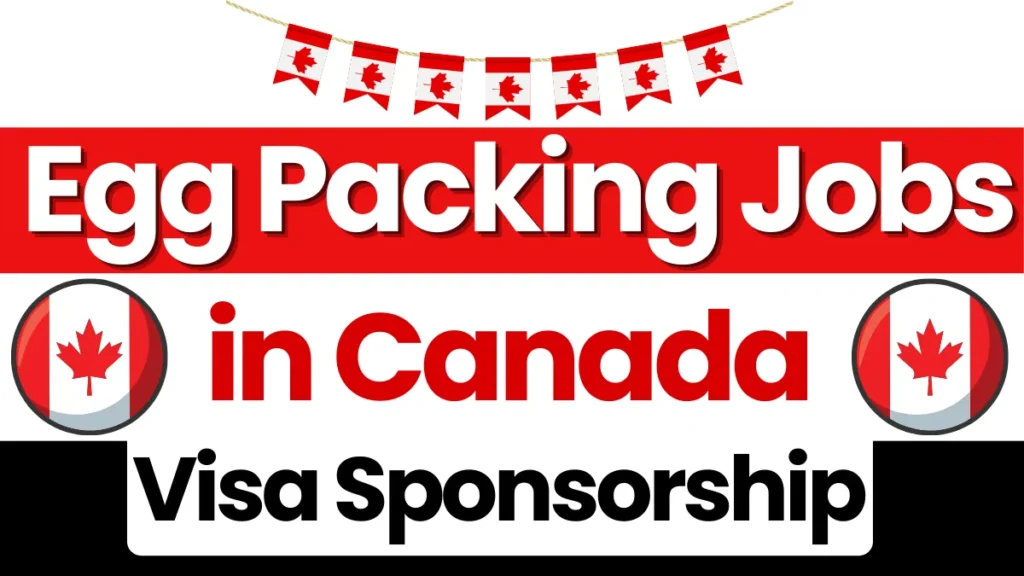 Egg Packing Jobs in Canada with Visa Sponsorship Oct 2024