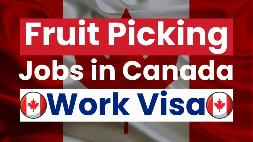 Fruit Picking Jobs in Canada with Work Visa Oct 2024 ($15.42 Per Hour)