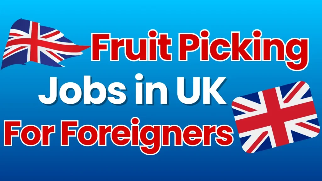 Fruit Picking Jobs in UK 2024 (£11.61 Per Hour)