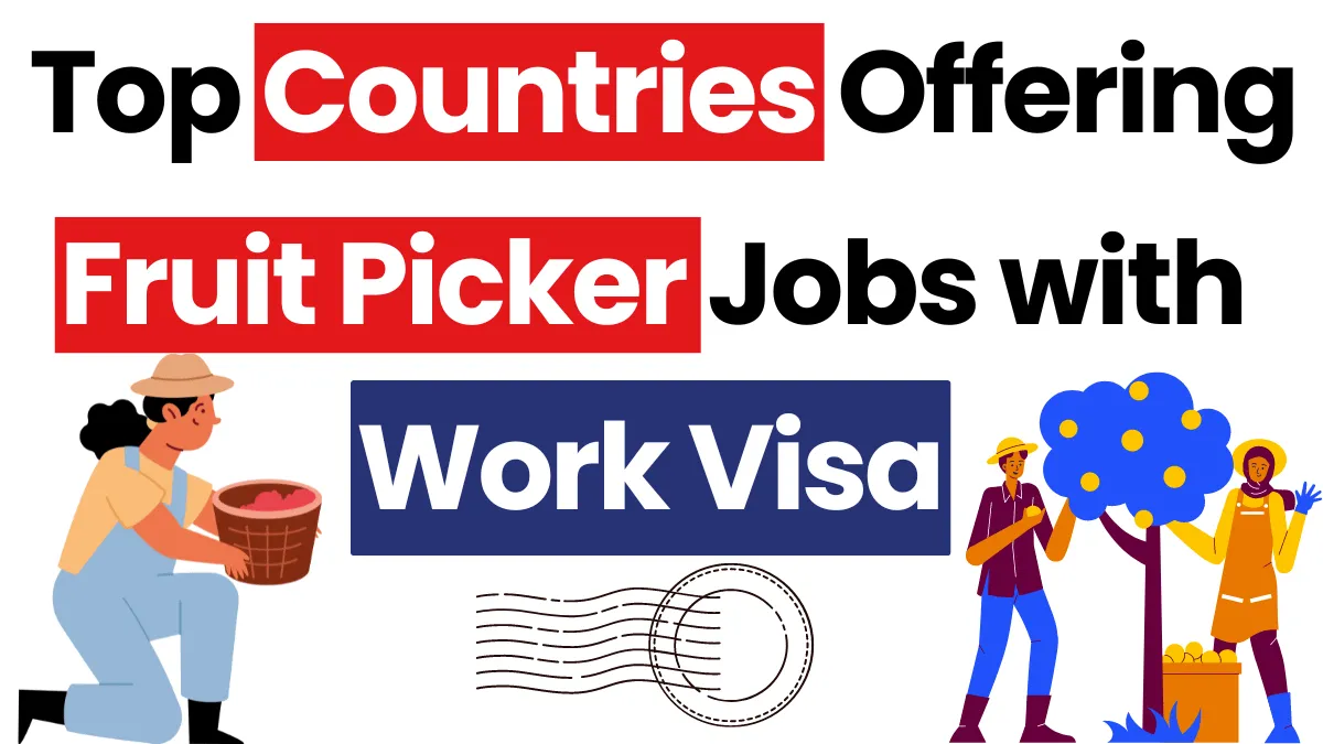 Top Countries Offering Fruit Picker Jobs with Work Visa 2024