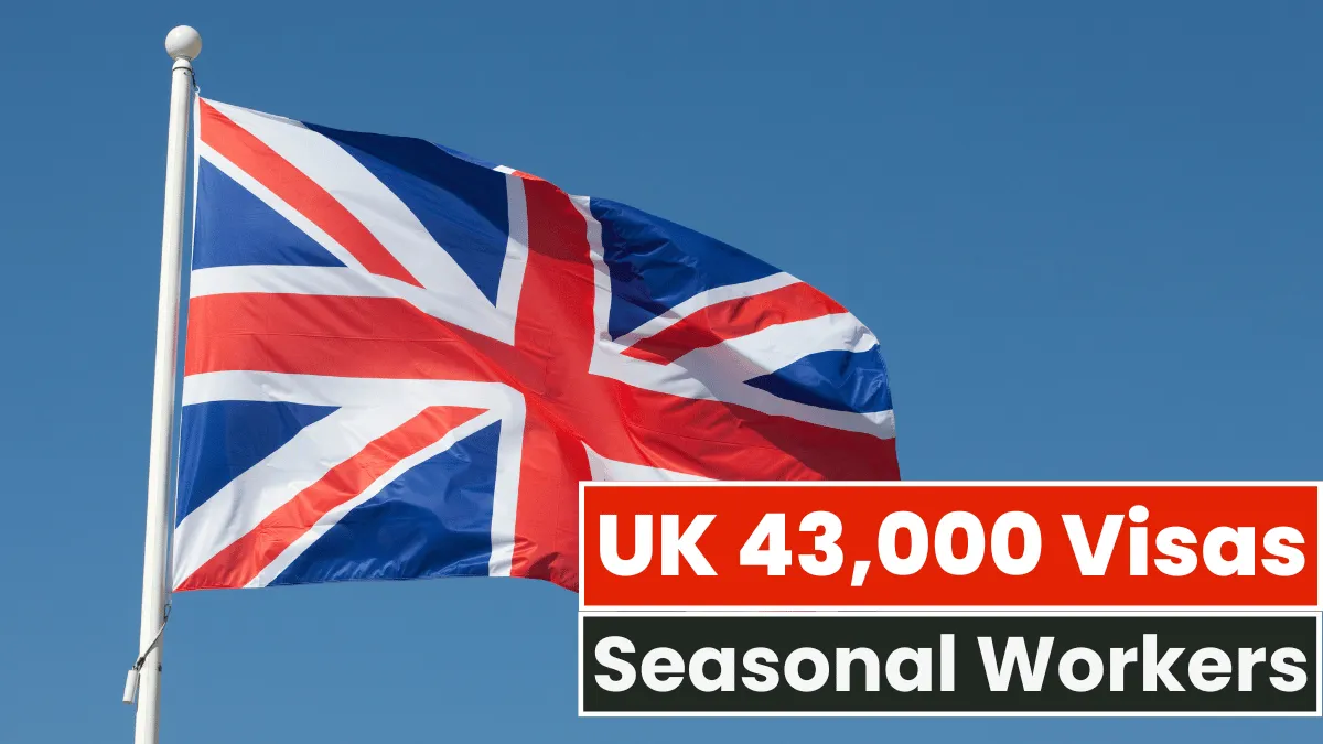 UK Announces 43,000 Visas For Foreigners Seasonal Workers