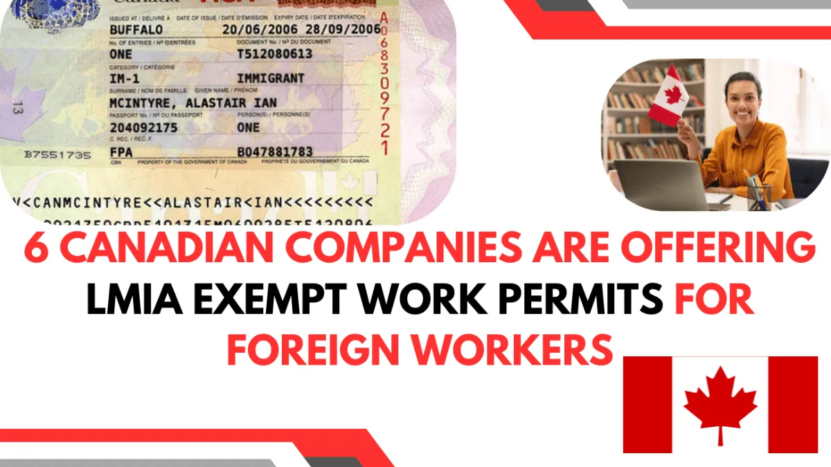 6 Canadian Companies Offering LMIA-Exempt Work Permits Nov 2024: Best Opportunity for Foreign Workers